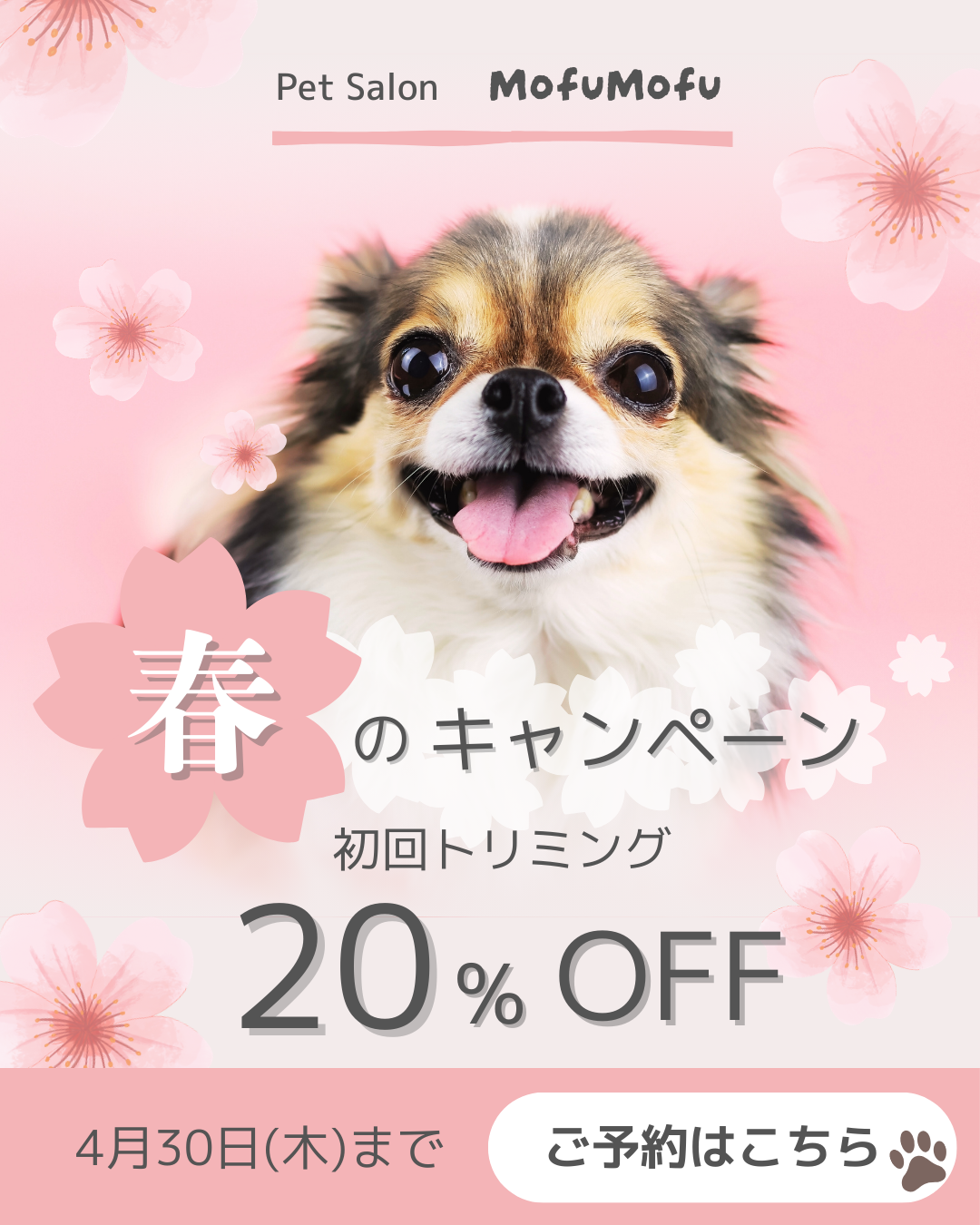 キャンペーン告知