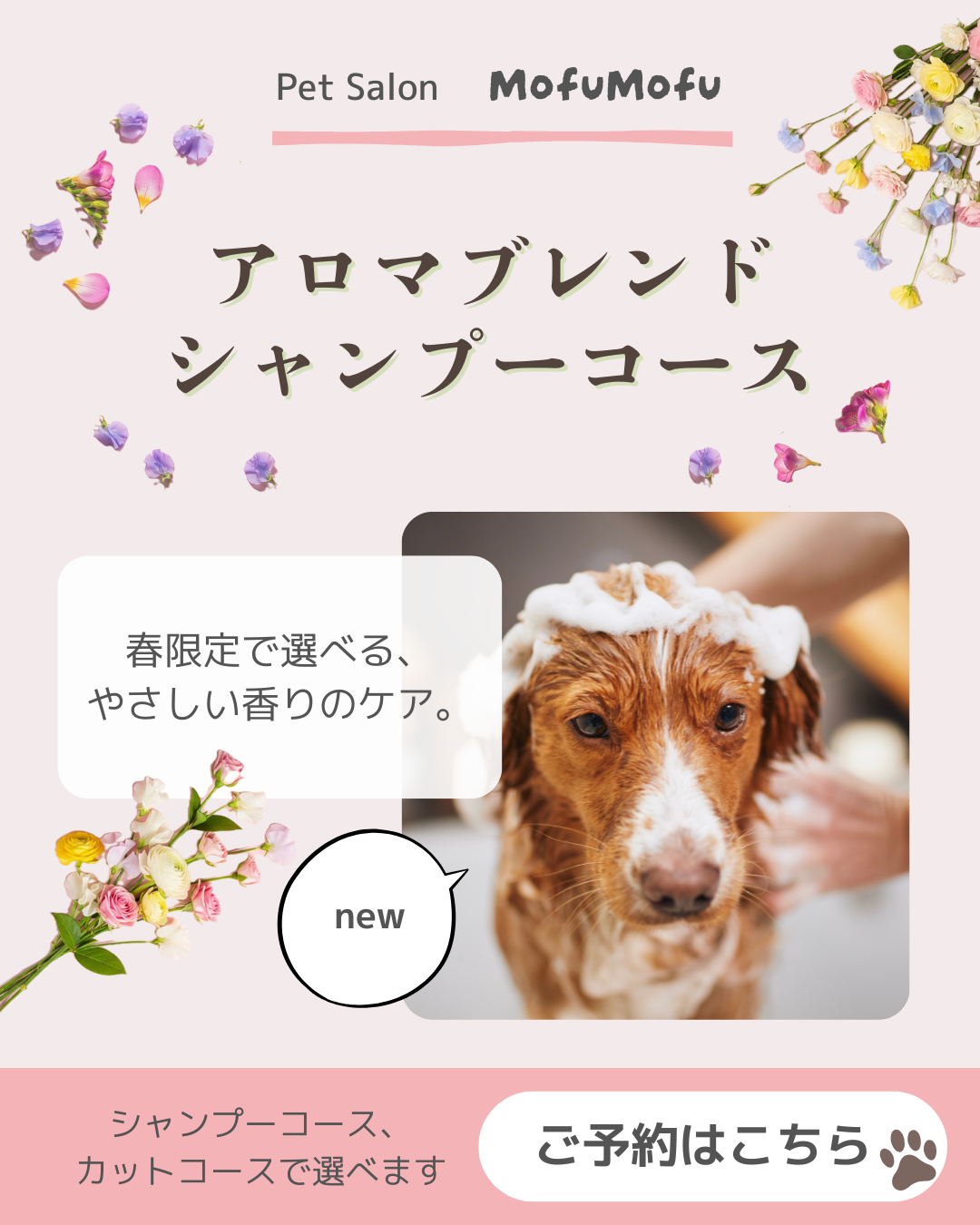 新サービス告知